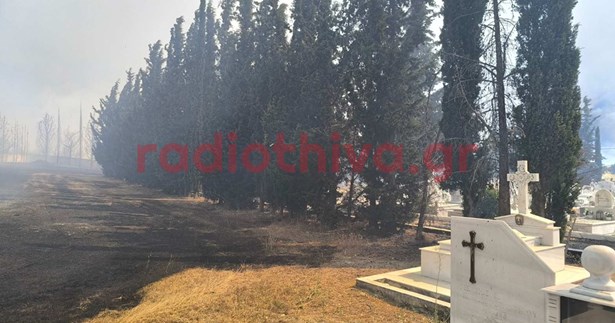 Έκτακτο: Φωτιά σε δασική περιοχή στο Ακραίφνιο Βοιωτίας