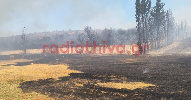 Διακοπή της κυκλοφορίας λόγω της πυρκαγιάς στο Ακραίφνιο