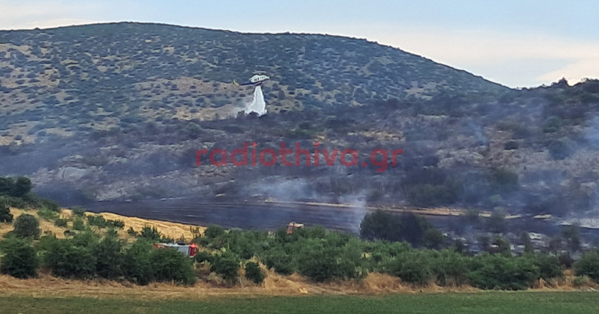 Ξέσπασε φωτιά στον Ορχομενό - Ισχυρή πυροσβεστική δύναμη στο σημείο