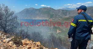 Υπό πλήρη έλεγχο η πυρκαγιά στον Αγιο Βασίλειο