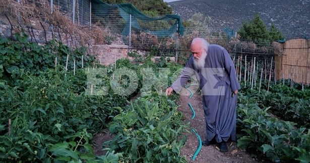 Aμπελος: Το νησί του Οσίου Λουκά που αναγέννησε ο Ιερώνυμος