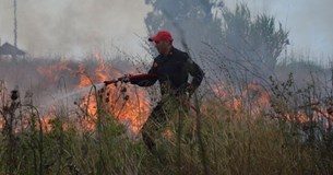 Φωτιά σε χαμηλή βλάστηση στα Δερβενοχώρια