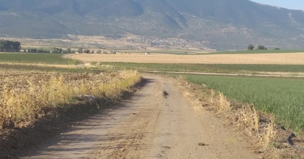 Την διατήρηση των αγροτικών δρόμων ζητά ο Δήμος Λεβαδέων από τους αγρότες