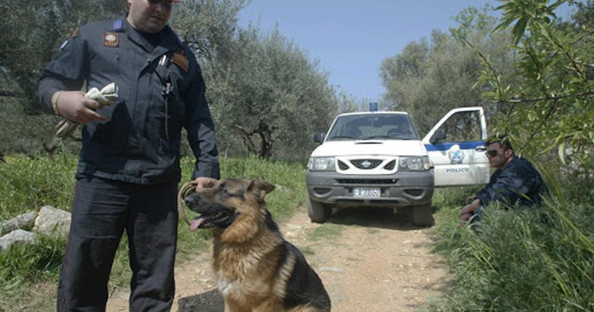 36χρονος αγνοείται στην Εύβοια - Αστυνομία και πυροσβεστική τον αναζητούν