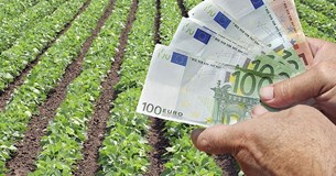 375 εκατομμύρια στους Έλληνες αγρότες για Εξισωτική Αποζημίωση και Μέτρο Ενίσχυσης του ελαιολάδου
