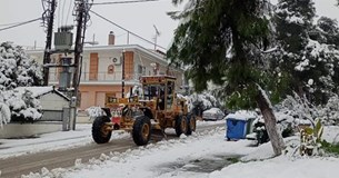 Σε επιχειρησιακή ετοιμότητα ο Δήμος Θηβαίων - Μηχανήματα καθαρίζουν τους δρόμους (Βίντεο)