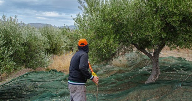 Νέα μέτρα στήριξης των αγροτών: Δάνεια 500 εκατ ευρώ με ελκυστικούς όρους