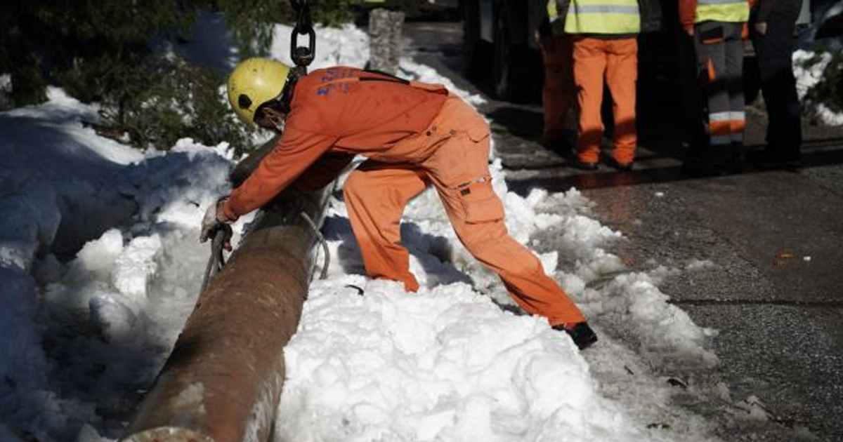 Δέντρο έπεσε και καταπλάκωσε άνδρα στην Εύβοια