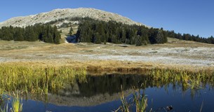 Οι Προστατευόμενες Περιοχές Natura Οίτης-Σπερχειού-Μαλιακού ένα από τα πιο πλούσια οικοσυστήματα της χώρας μας