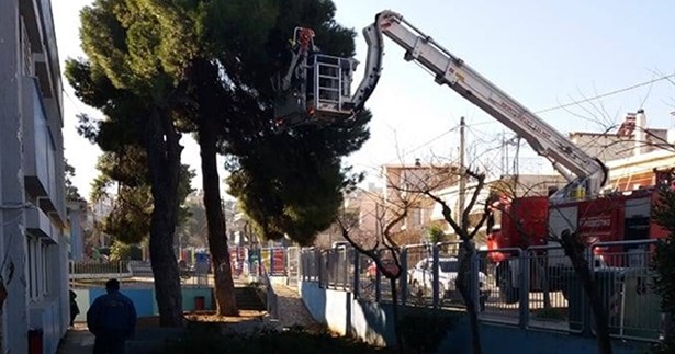Η πυροσβεστική κλάδεψε τα δέντρα στο 7ο & 8ο δημοτικό σχολείο Θήβας
